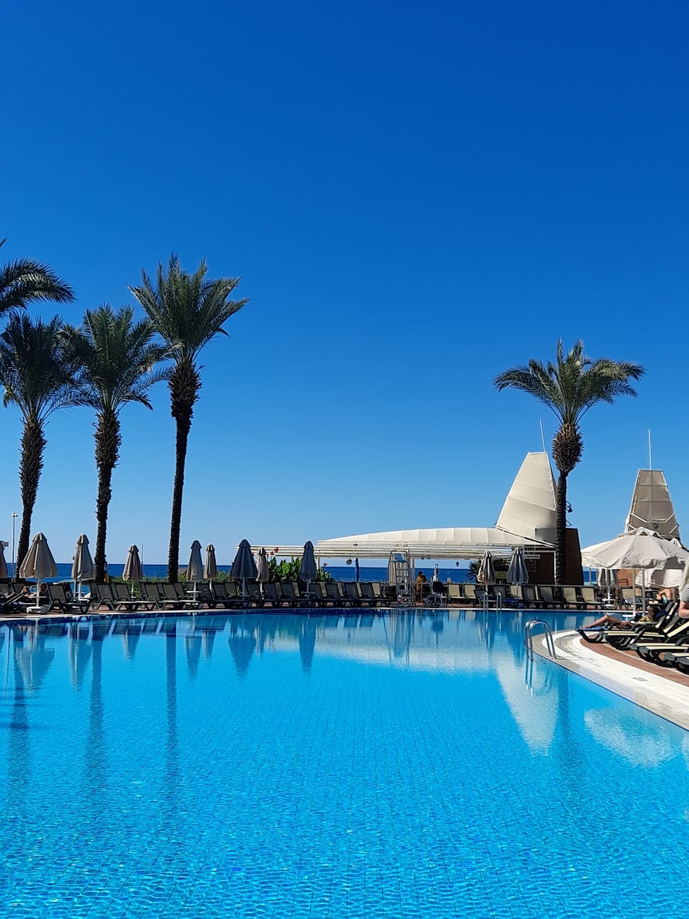 Bright blue poolside with palm trees under clear skies, perfect for relaxation.